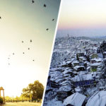 golden-triangle-with-himachal